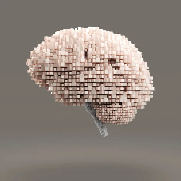 Représentation digitale d'un cerveau