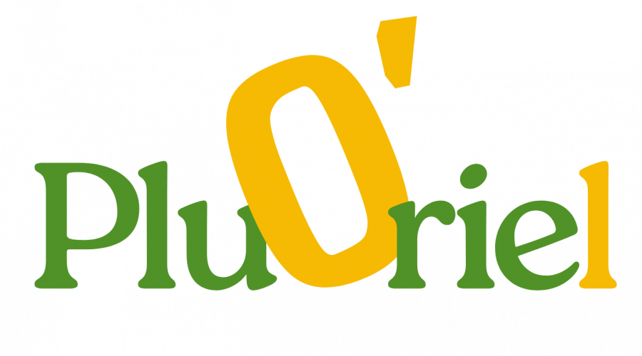 Logo O_Pluriel fond transparent
